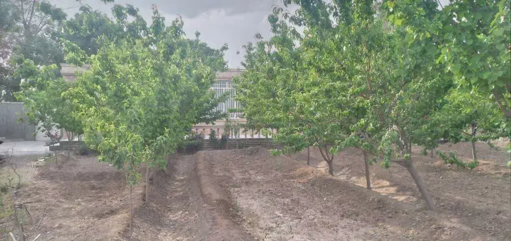 باغ ویلا|فروش خانه و ویلا|تربتحیدریه, پائین ولایت|دیوار