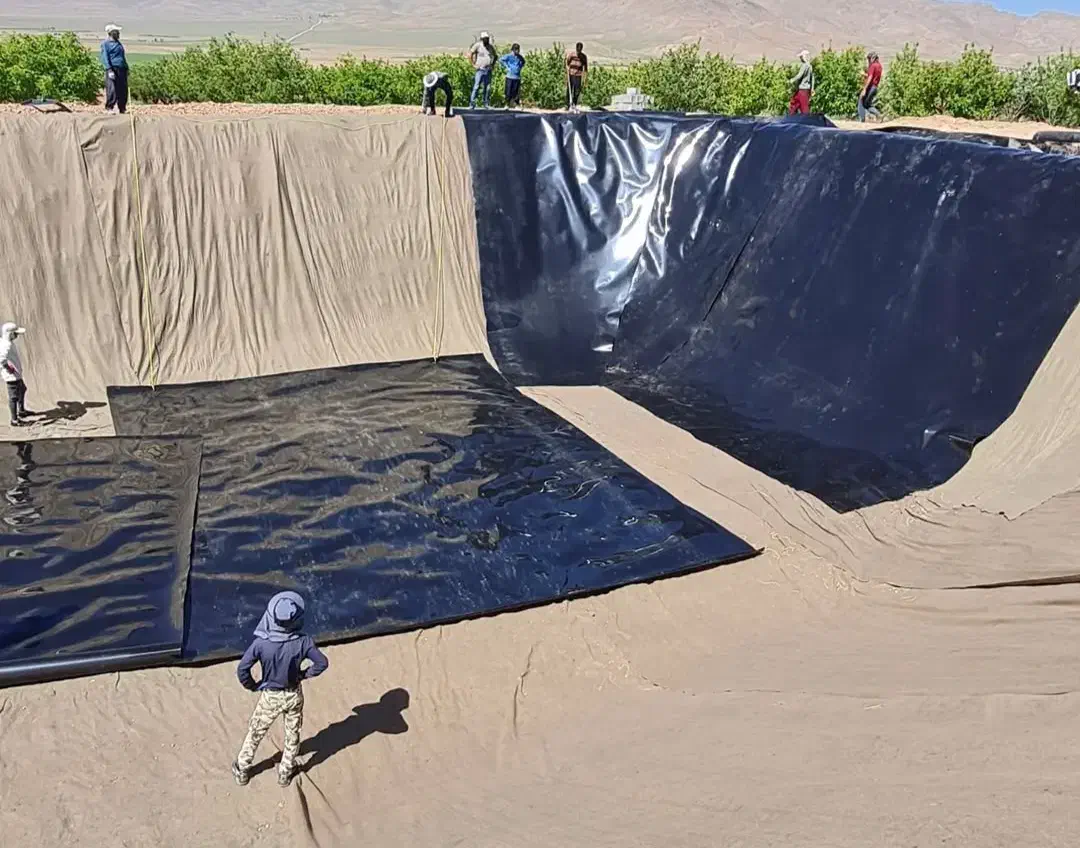 استخر های کشاورزی پلیمری ورق ژئوممبران|خدمات باغبانی و درختکاری|رزن, |دیوار