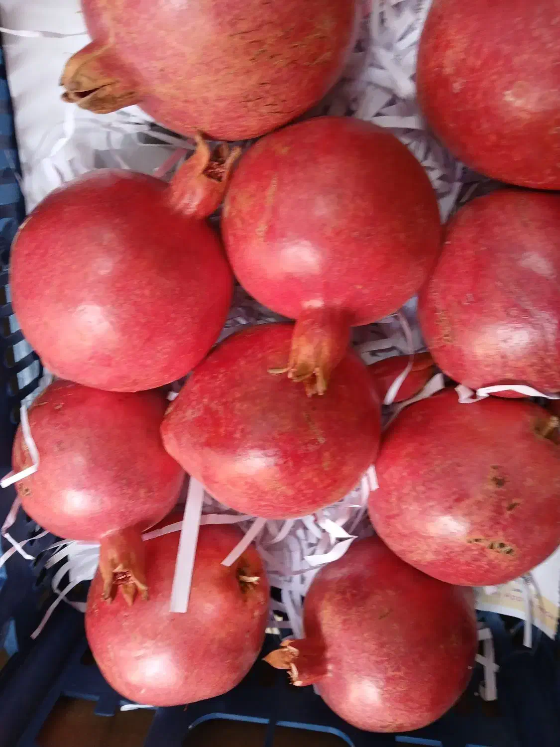 میوه فروشی حاجی ارزونی واقعی|خوردنی و آشامیدنی|شهریار, شهرک بهاران (ویره)|دیوار