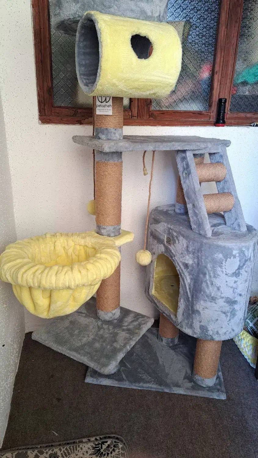 درخت گربه برند پتاژه|لوازم جانبی حیوانات|صومعهسرا, |دیوار