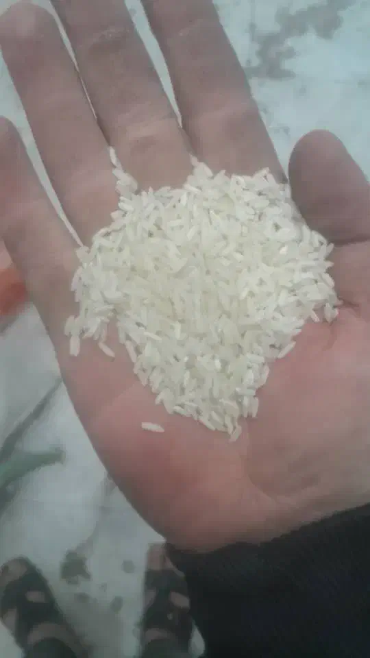 برنج گیلان صدری|خوردنی و آشامیدنی|تهران, وحیدیه|دیوار