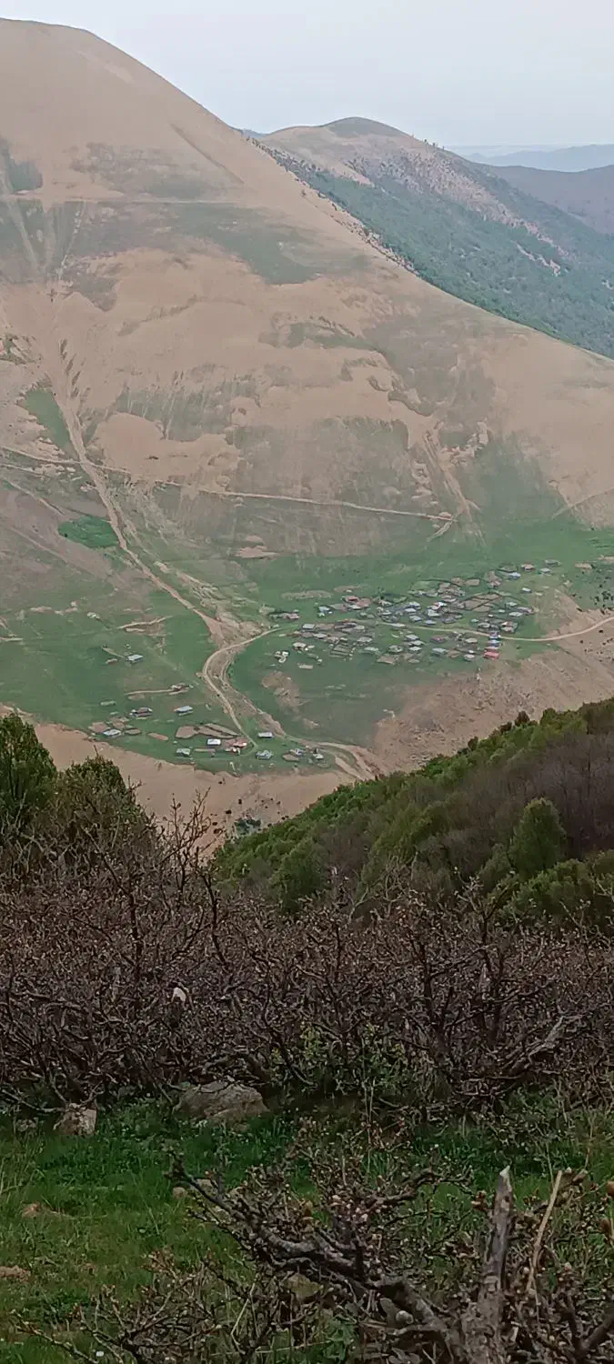 گروه تلگرامی اردبیل|فعالیت داوطلبانه|اردبیل, |دیوار