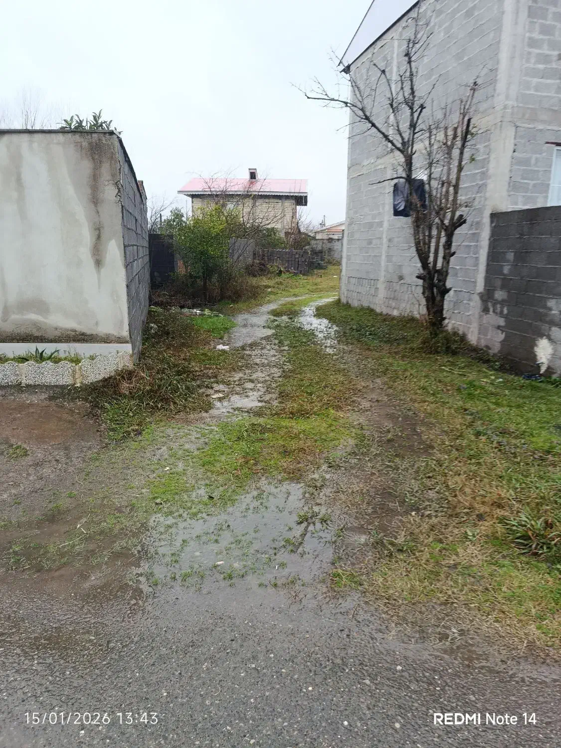 باغ روستایی|فروش خانه و ویلا|زیباکنار, |دیوار