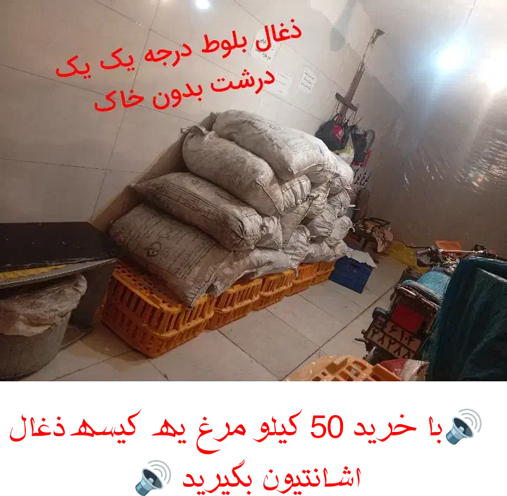 فروش عمده و تکی|فعالیت داوطلبانه|نورآباد, |دیوار