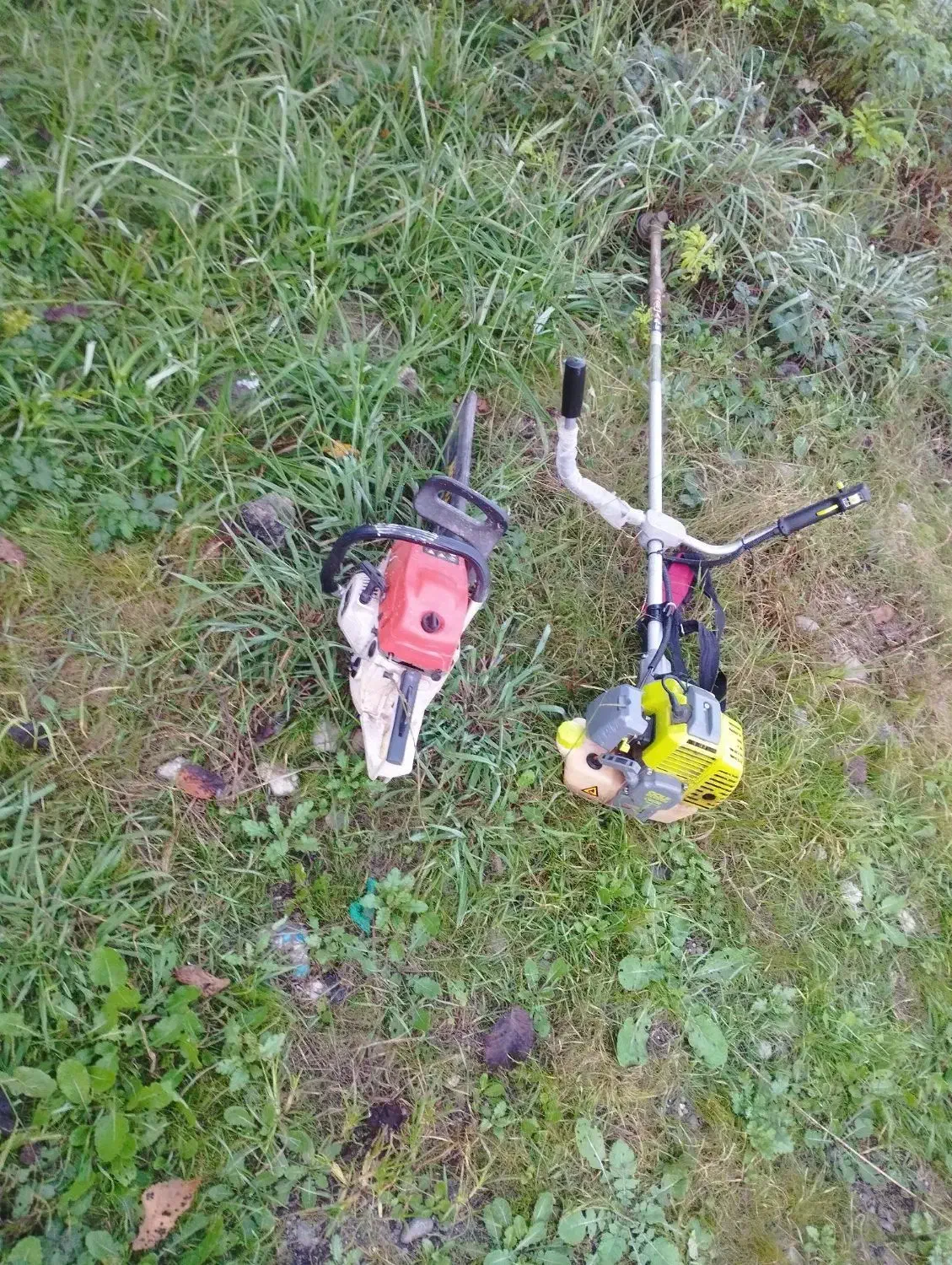 انواع کارهای باغبانی هرس درختان برش درخت|خدمات باغبانی و درختکاری|رشت, پل تالشان|دیوار