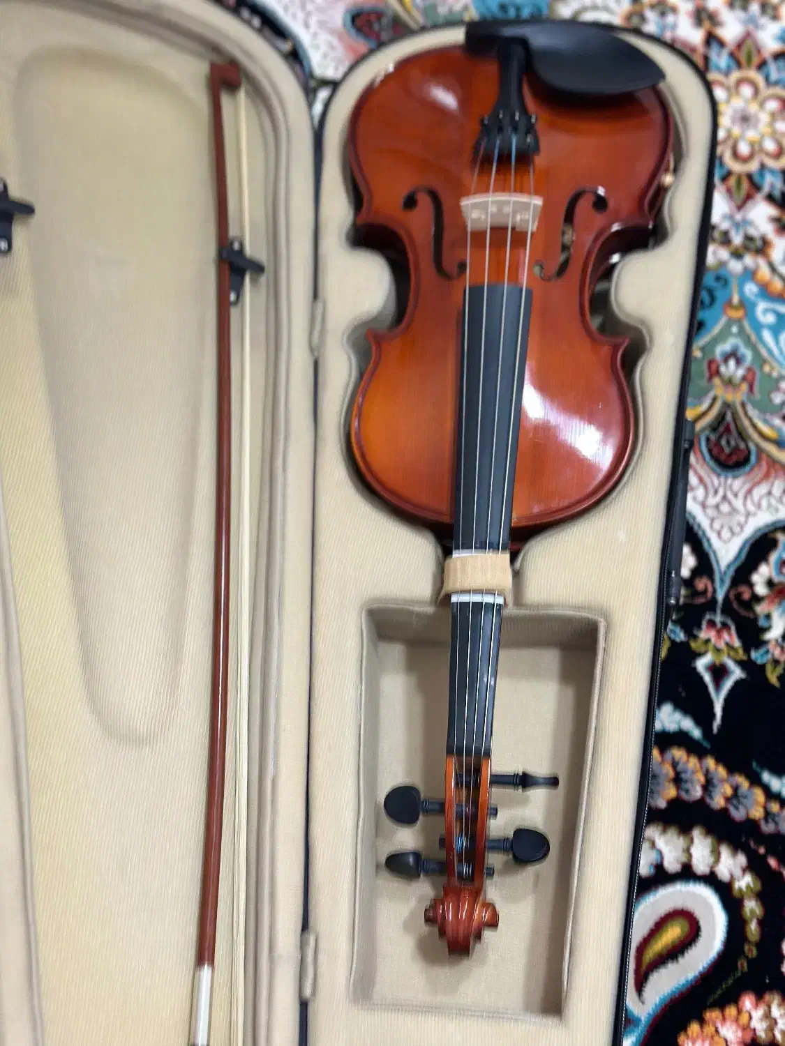 ویولن|ویولن|گناباد, |دیوار