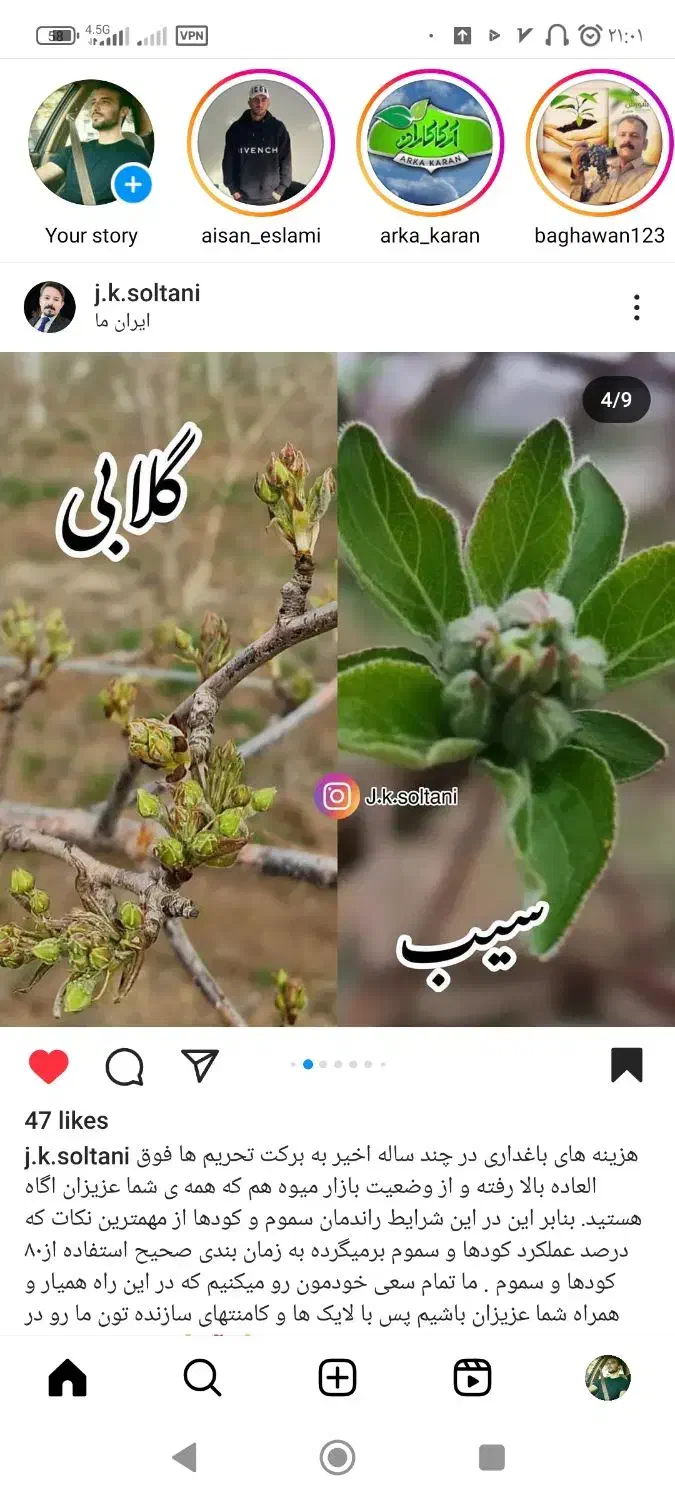 هرس کار درختان میوه|خدمات باغبانی و درختکاری|خرم‌آباد, |دیوار