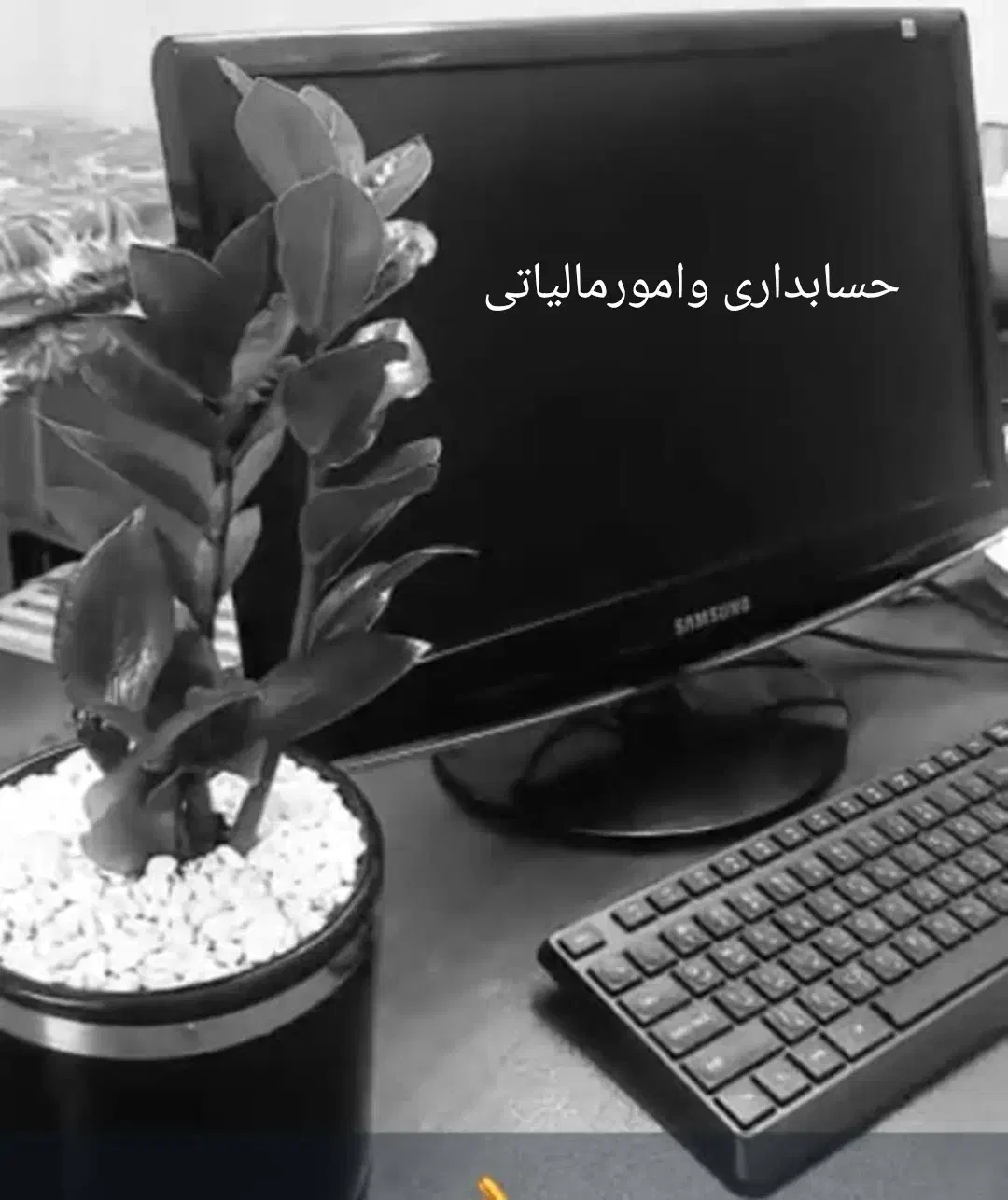 حسابداری وامورمالیاتی|خدمات مالی، حسابداری، بیمه|اهواز, کوی سعدی|دیوار