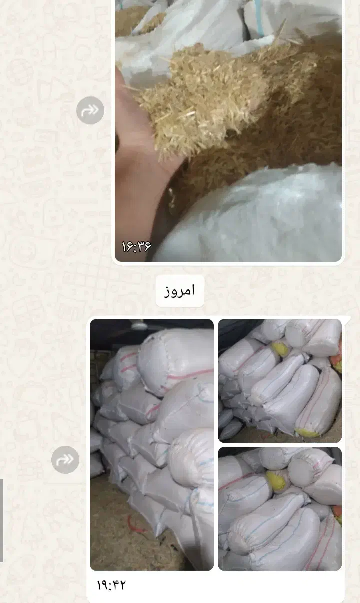 کاه|لوازم جانبی حیوانات|ایذه, |دیوار