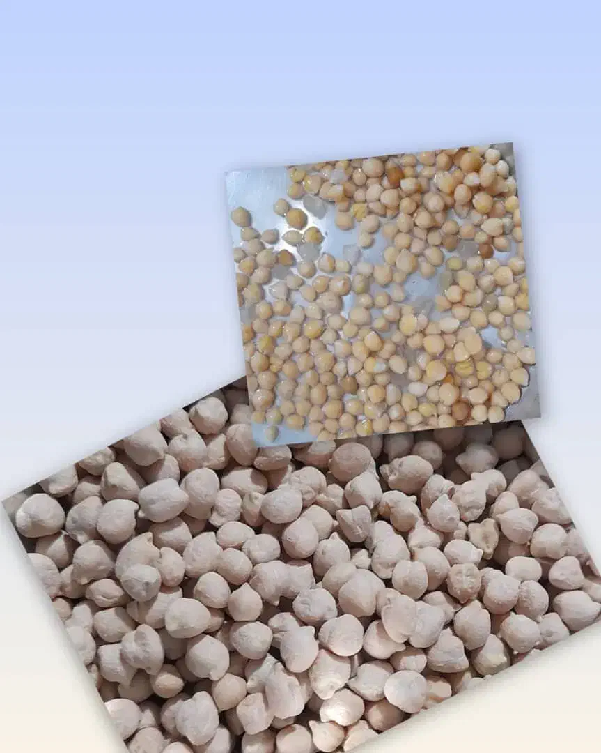 فروش خشکبار وحبوبات|خوردنی و آشامیدنی|صدرا-فارس, فاز ۱|دیوار