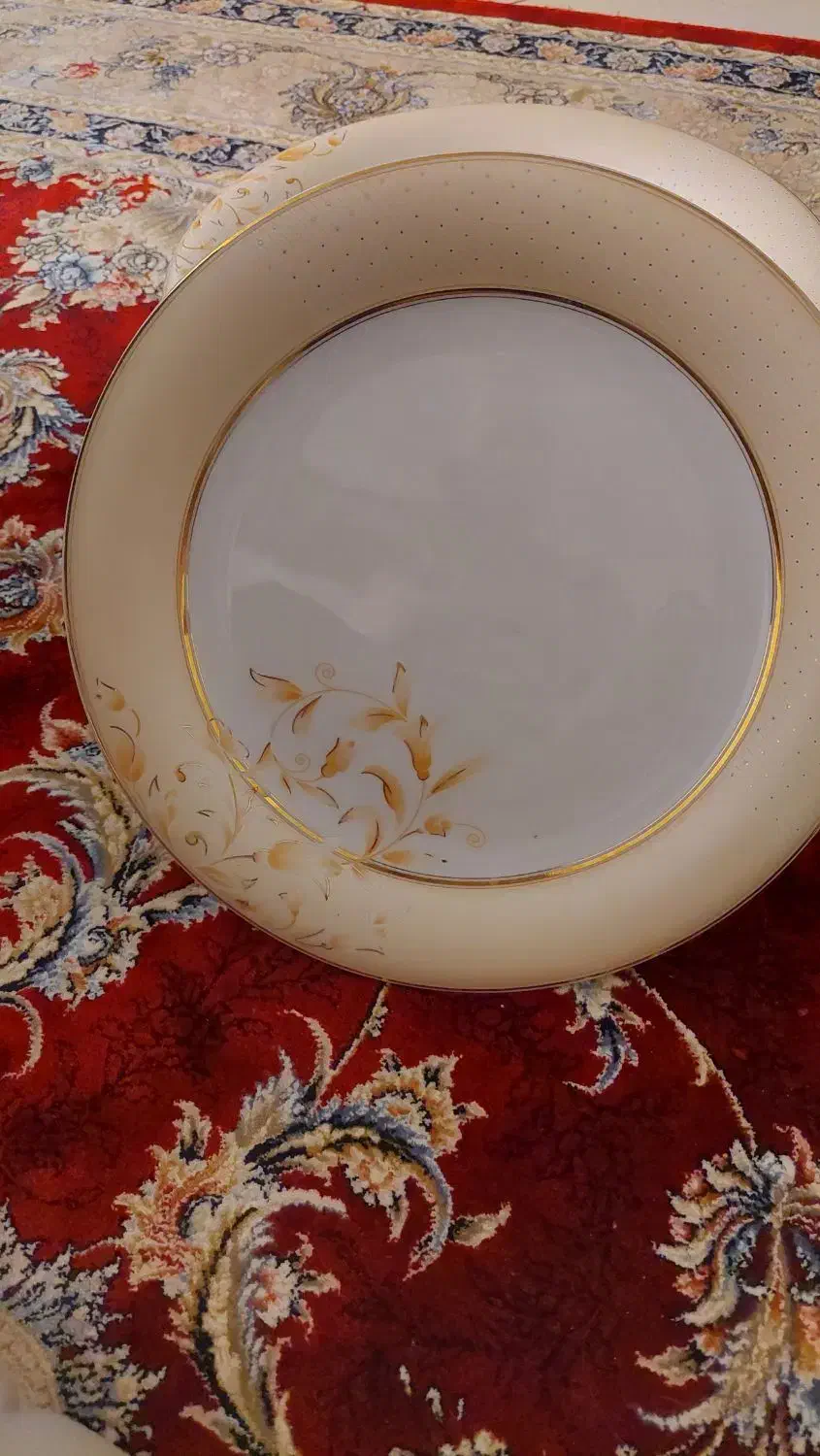 ۱۲ عدد پلوخوری|ظروف سرو و پذیرایی|ساری, |دیوار