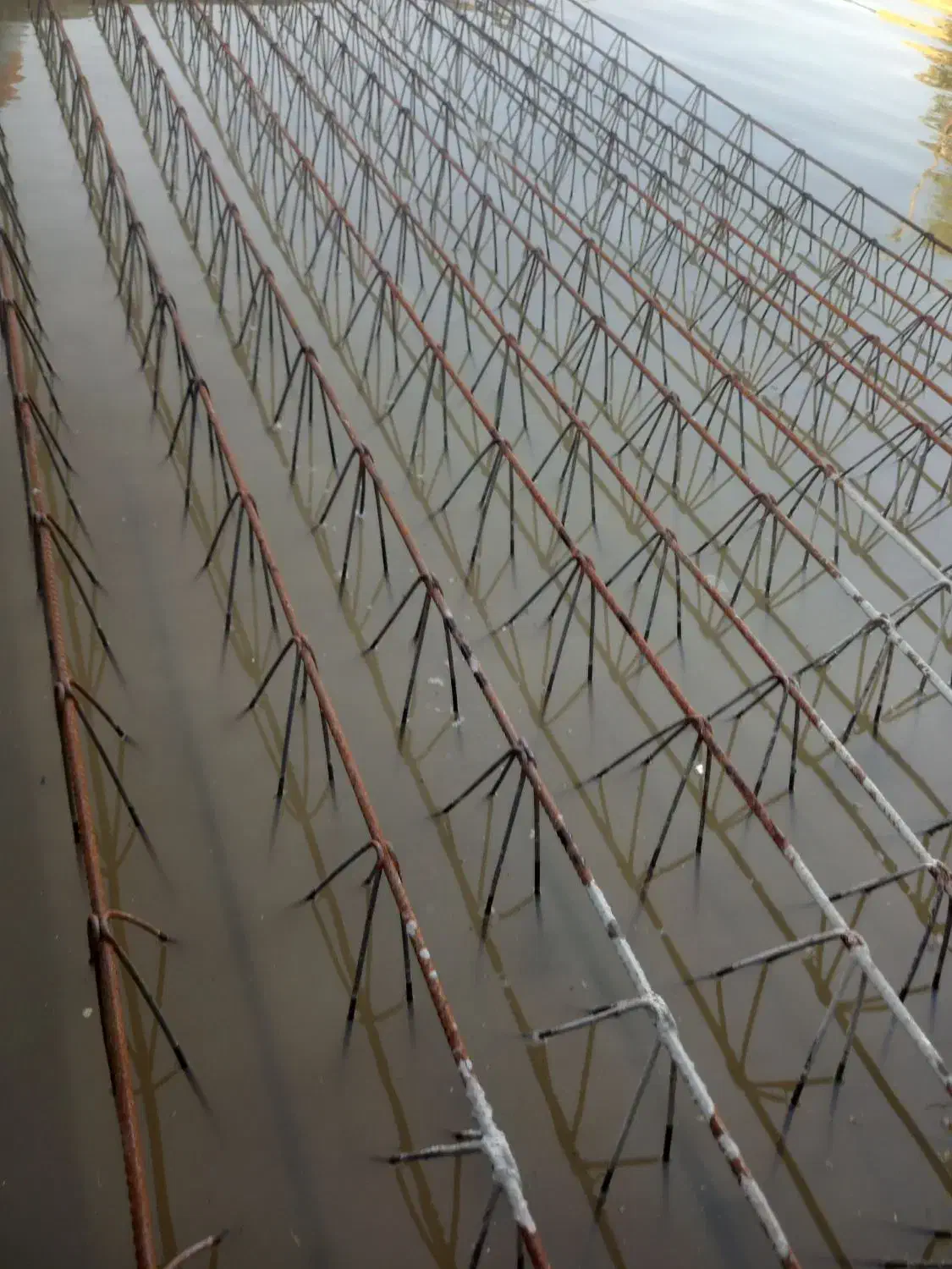 تیرچه بلوک گلویی پایه فنس درب چاه|مصالح و تجهیزات ساختمان|بجنورد, |دیوار