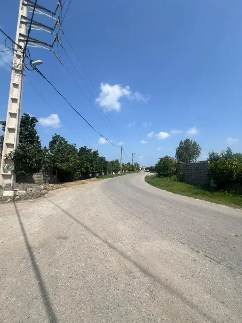 فروش زمین مسکونی در تازه آباد|فروش زمین و ملک کلنگی|بهنمیر, |دیوار