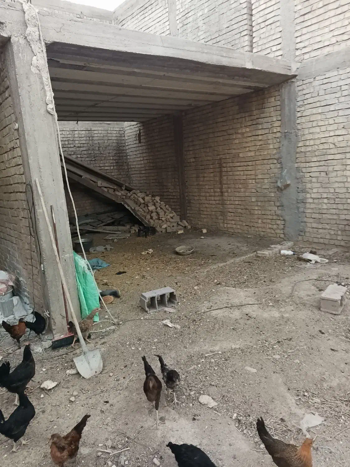 سوله بدون سقف در کرونی 250متری|اجارهٔ دفتر صنعتی، کشاورزی، تجاری|شیراز, جمال آباد|دیوار