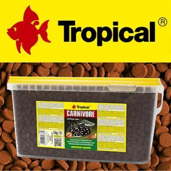 کارنیوور تروپیکال.غذای ماهی گوشتخوار.کفخوار .|ماهی|بجنورد, |دیوار
