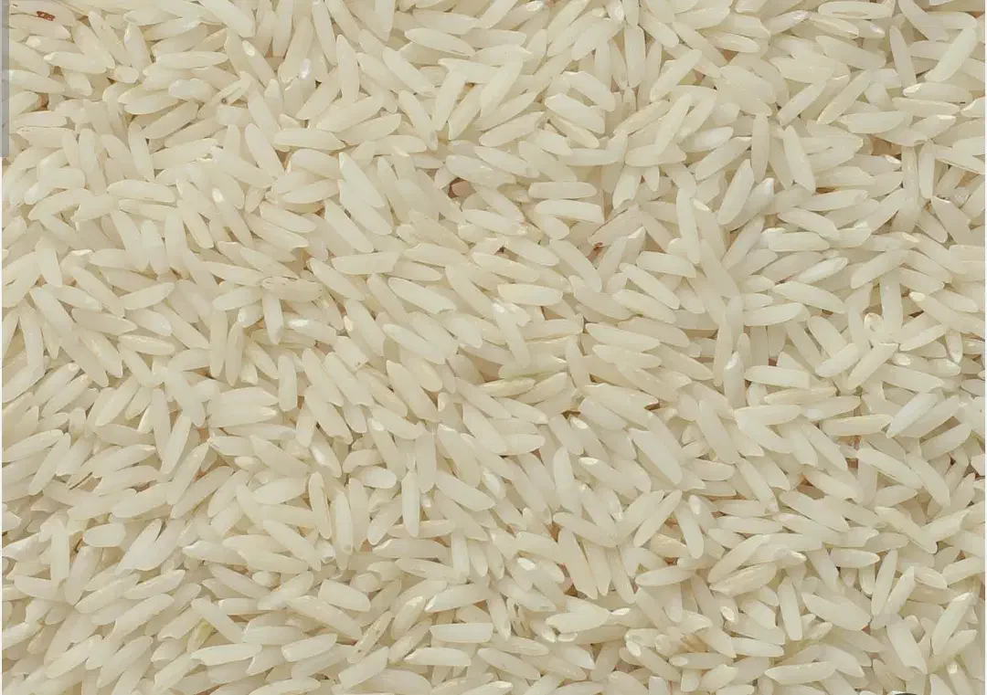 برنج هاشمی درجه یک|عمده‌فروشی|محمودآباد, |دیوار