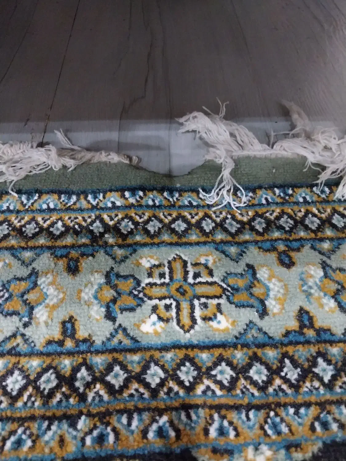 فرش ۱۲ متری|فرش|رشت, منظریه|دیوار