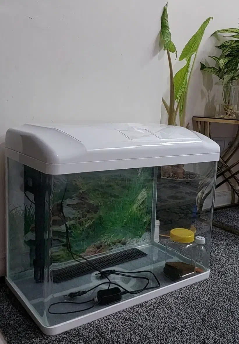 ِکواریوم شرکتی ۵۵در۴۵|ماهی|تهران, آذری|دیوار