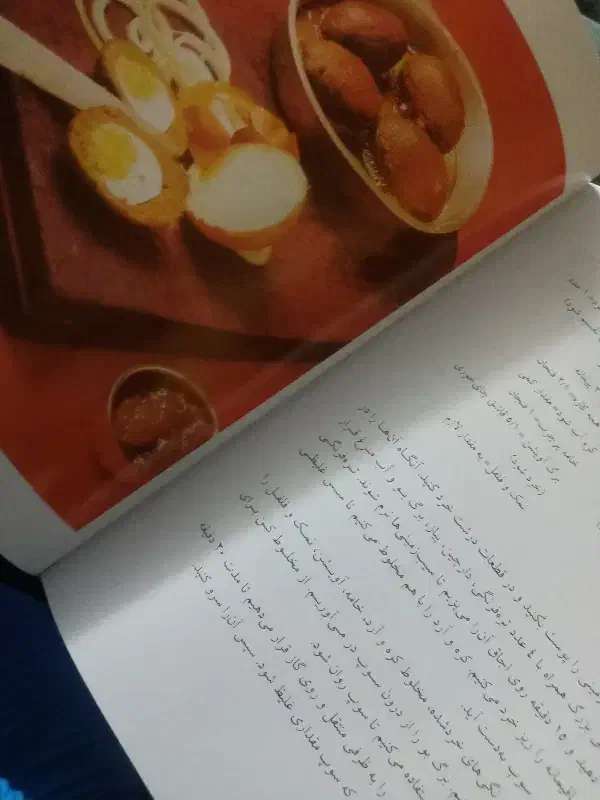 کتاب اشپزی|کتاب و مجله آموزشی|تربتحیدریه, آغوی|دیوار