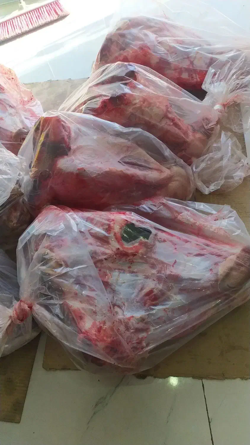 کله گوساله و پاچه و سیرابی|خوردنی و آشامیدنی|بجنورد, |دیوار