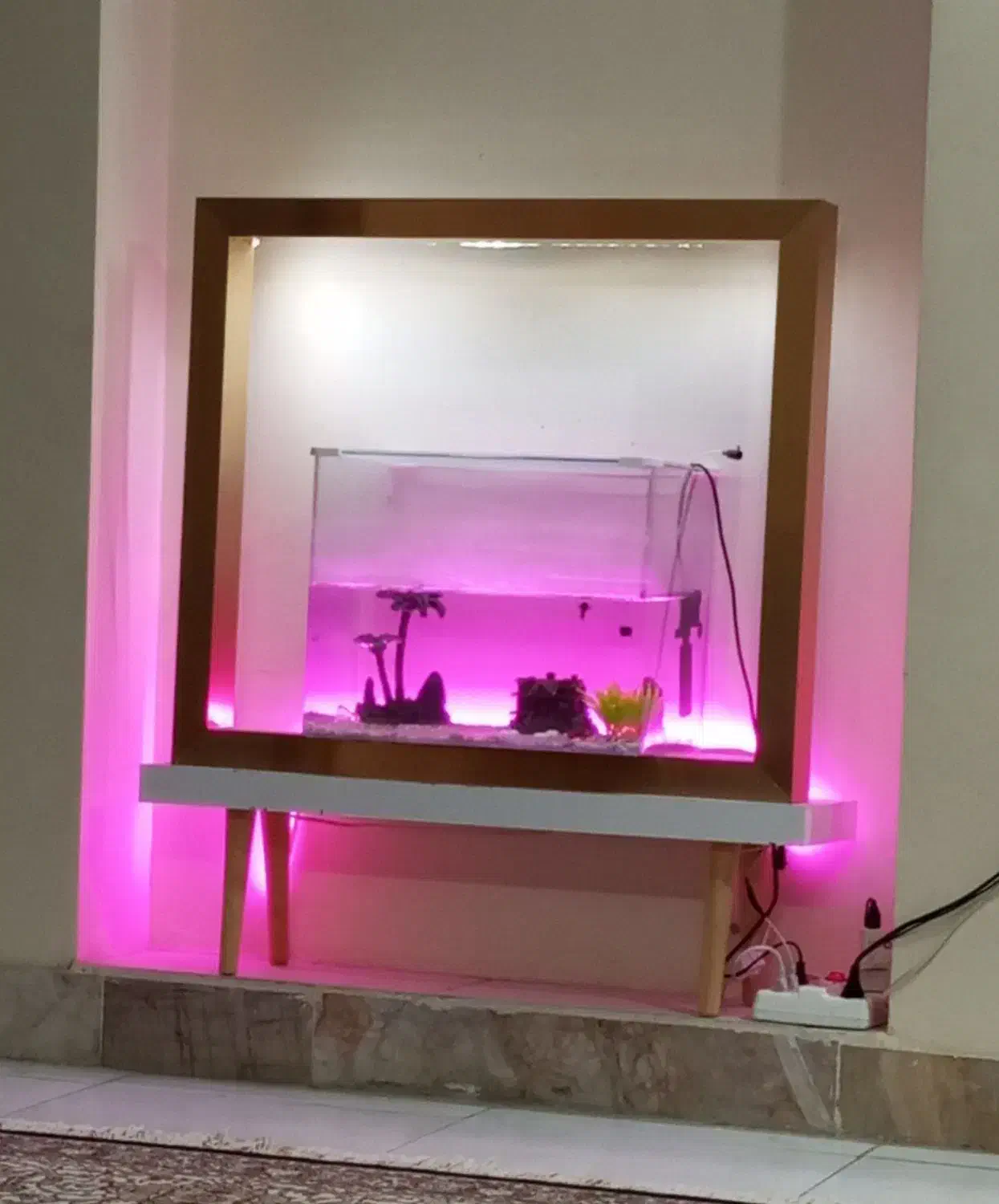 آکواریوم|ماهی|مشهد, رسالت|دیوار