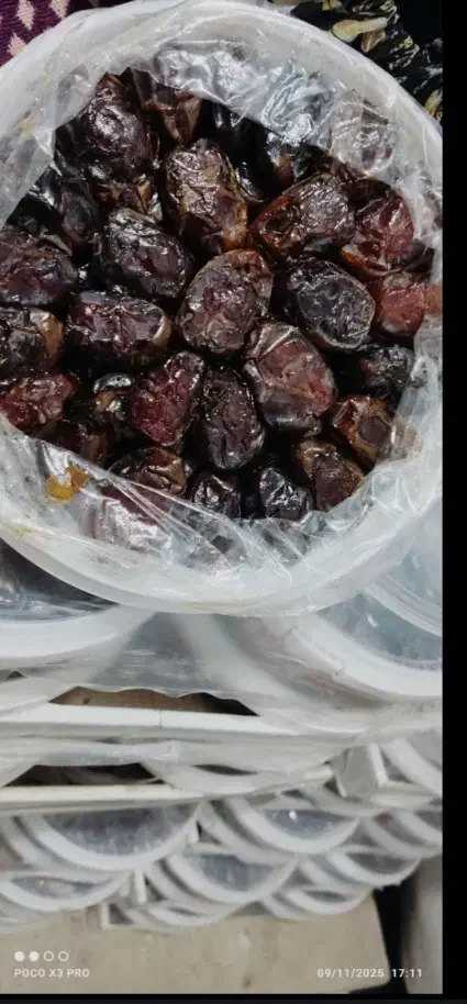 خرمای کبکاب صادراتی|خوردنی و آشامیدنی|شیراز, ستارخان|دیوار