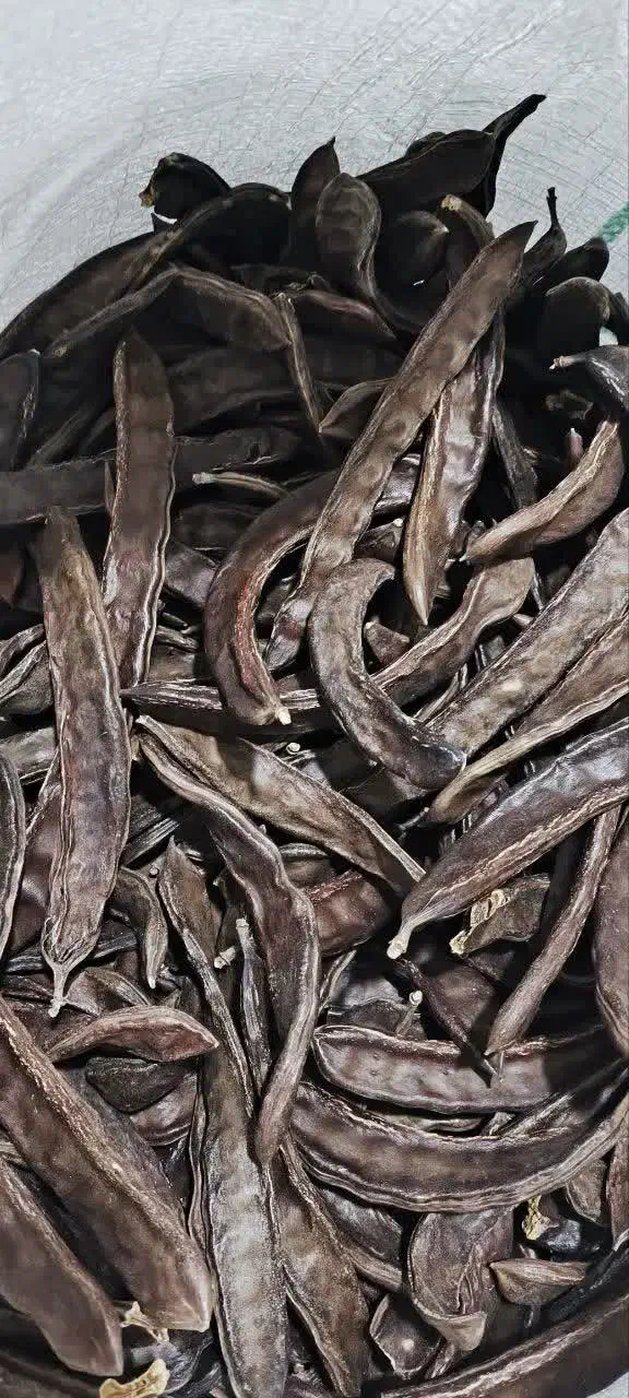 پخش صفر تا صد محصولات عطاری نمایندگی استان لرستان|آرایشی، بهداشتی، درمانی|بروجرد, |دیوار