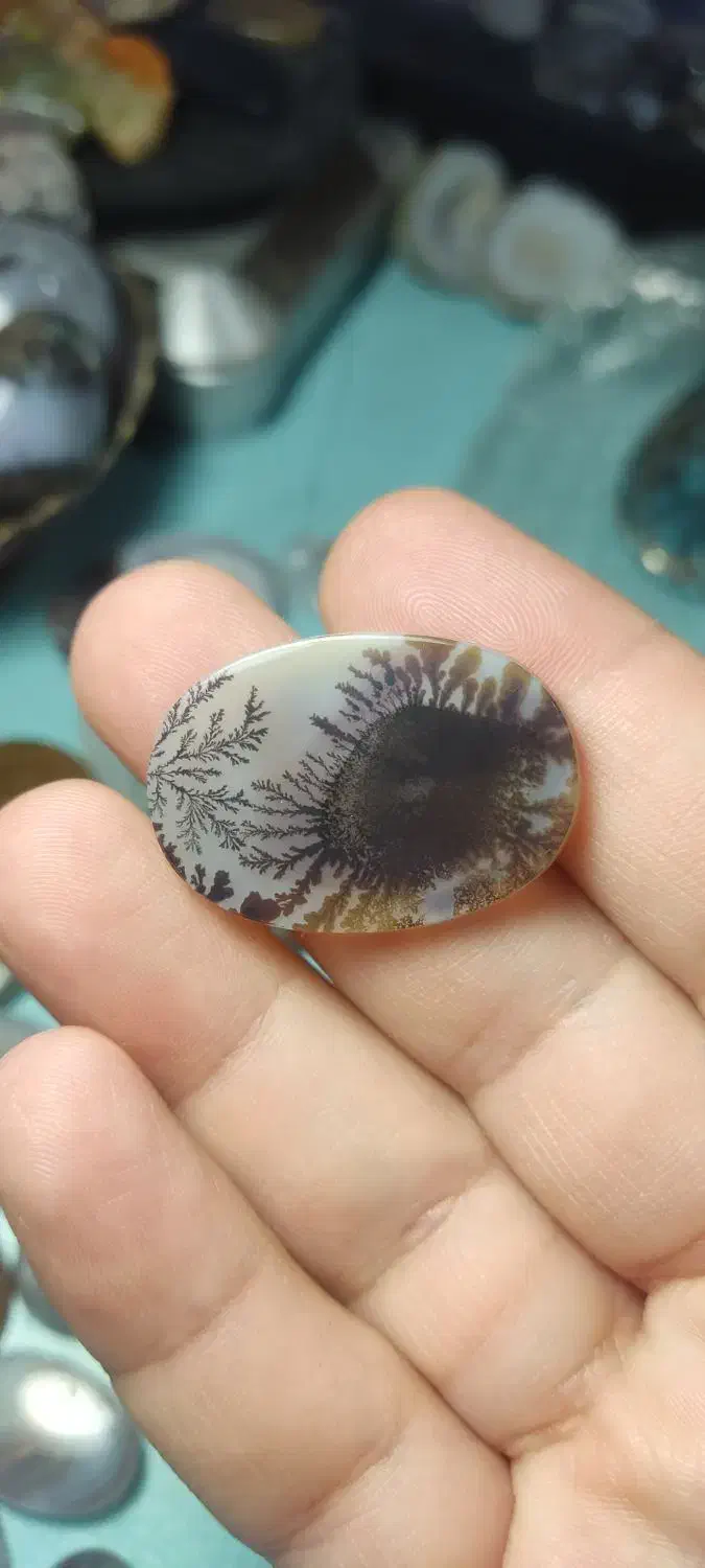 ورق بزنید حراجی شجر|جواهرات|شهریار, شهریار|دیوار