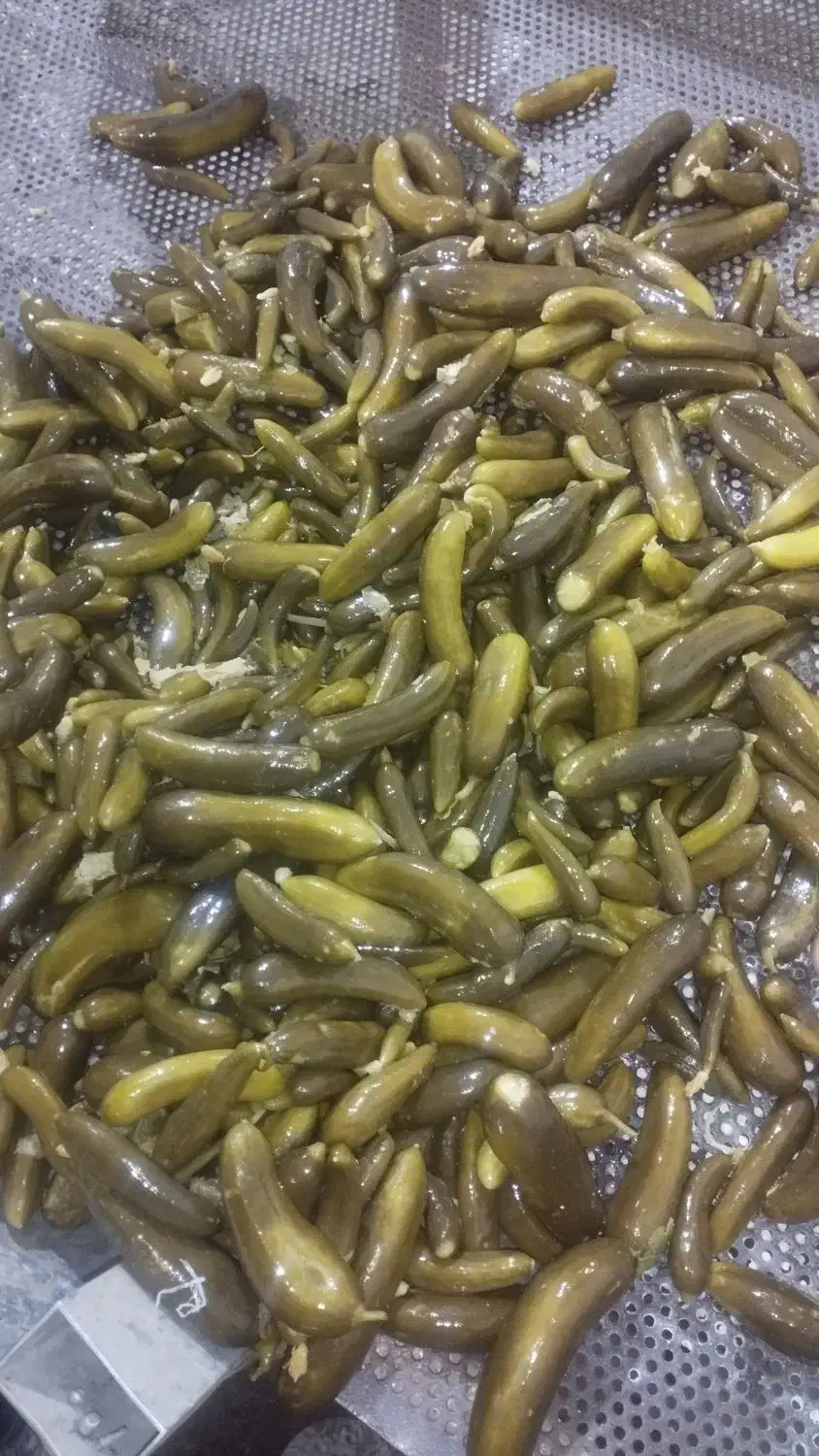 خیارشور ویژه نول ممتاز|خوردنی و آشامیدنی|سردرود, |دیوار