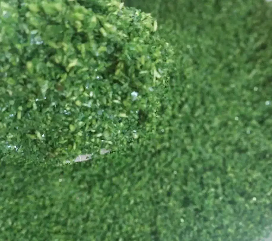 همکار خانم برای کار در سبزیجات اماده|استخدام خدمات فروشگاه و رستوران|ملایر, |دیوار