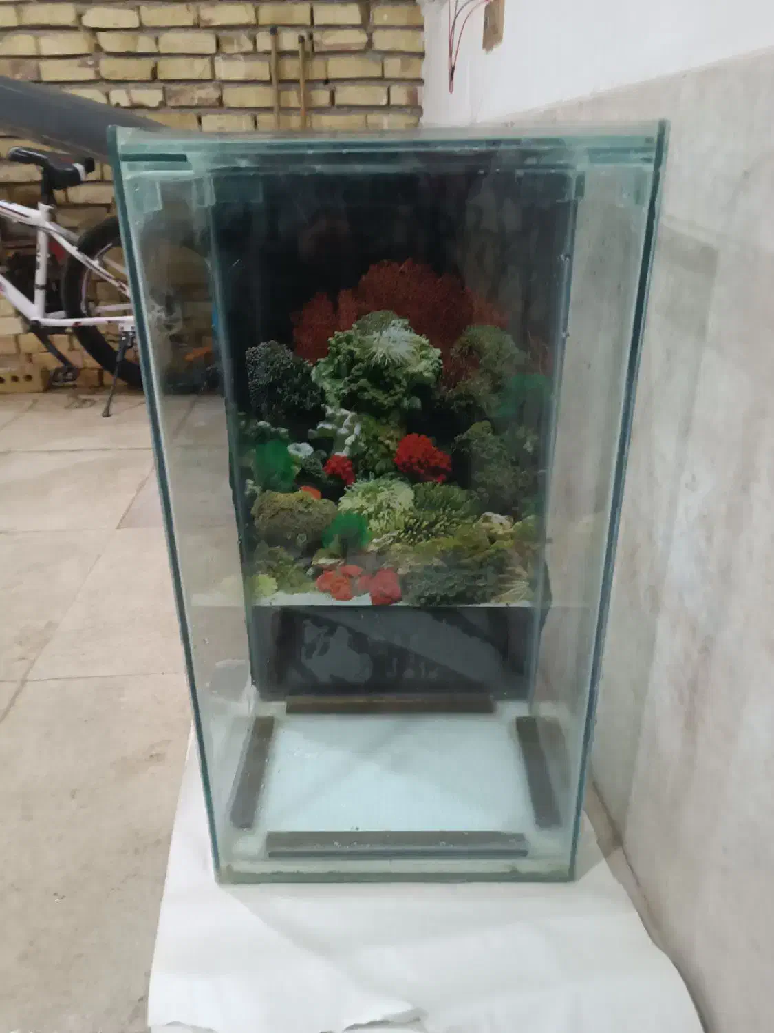 اکواریوم|ماهی|تربت‌حیدریه, قائم|دیوار