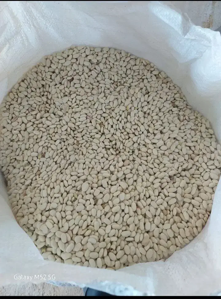 لوبیا بوجاری|خوردنی و آشامیدنی|خوانسار, |دیوار