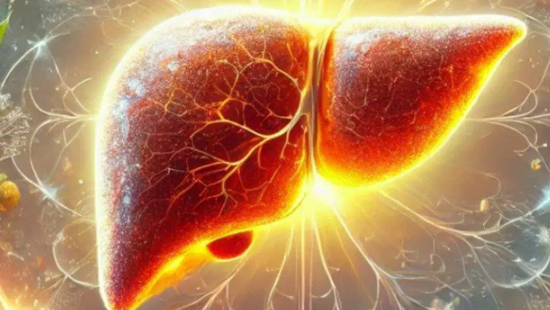 درمان باطب سنتی|پزشکی|ارطه, |دیوار