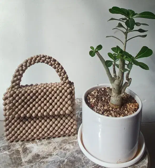 کیف مرواریدی|کیف، کفش، کمربند|یزد, |دیوار