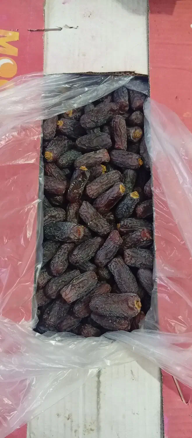 خرمای پیارم -پیارم درجه یک-خرمای جنوب|خوردنی و آشامیدنی|حاجی آباد, |دیوار