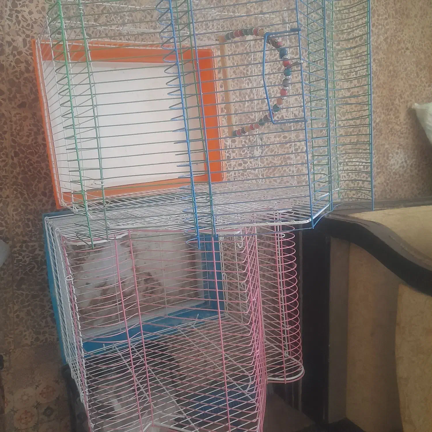 ۲عددقفس عروس هلندی|لوازم جانبی حیوانات|بروجن, |دیوار