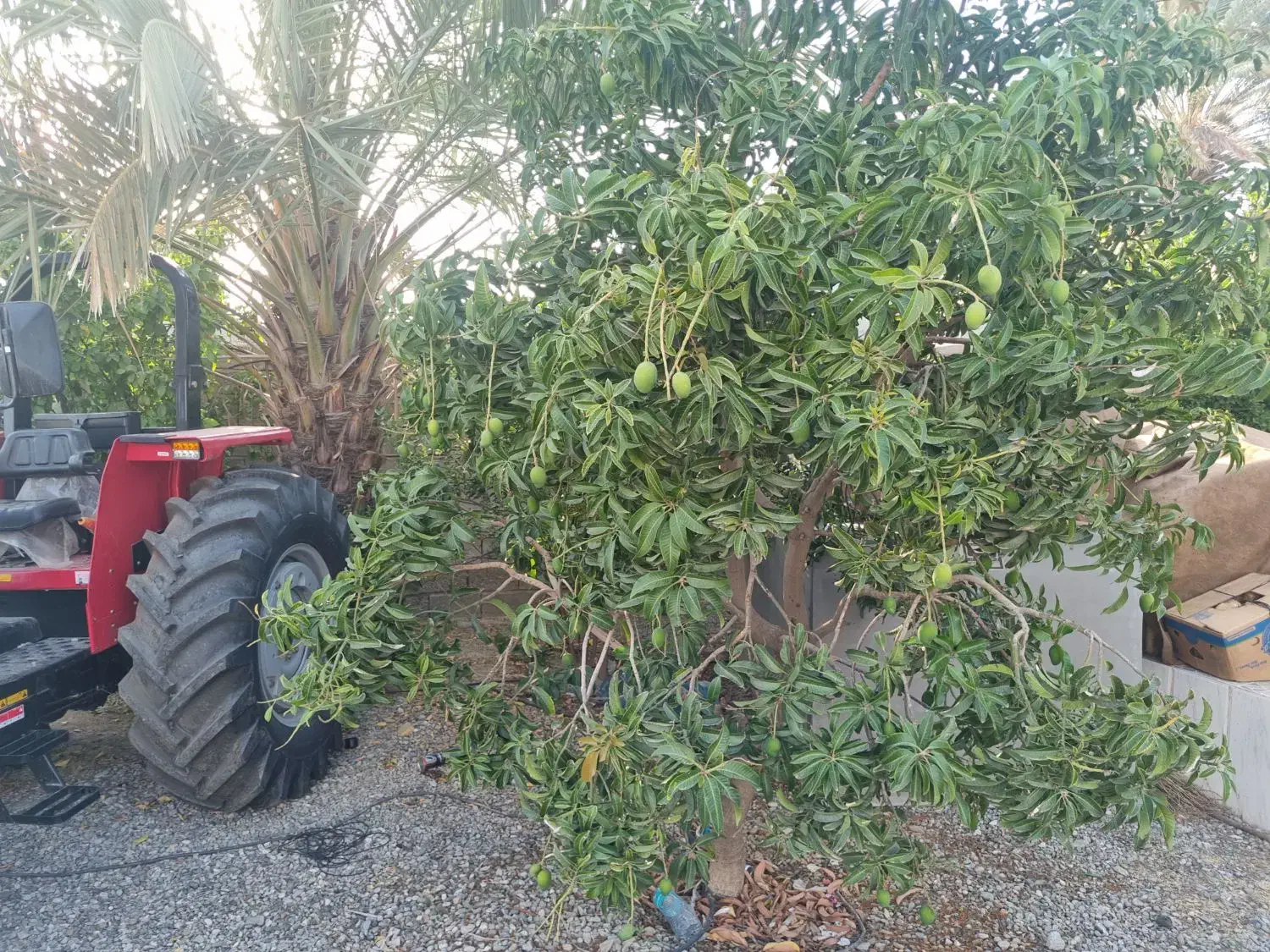 تراکتور ۴۷۵ تک مدل ۱۴۰۱|خودرو سنگین|بندرعباس, |دیوار