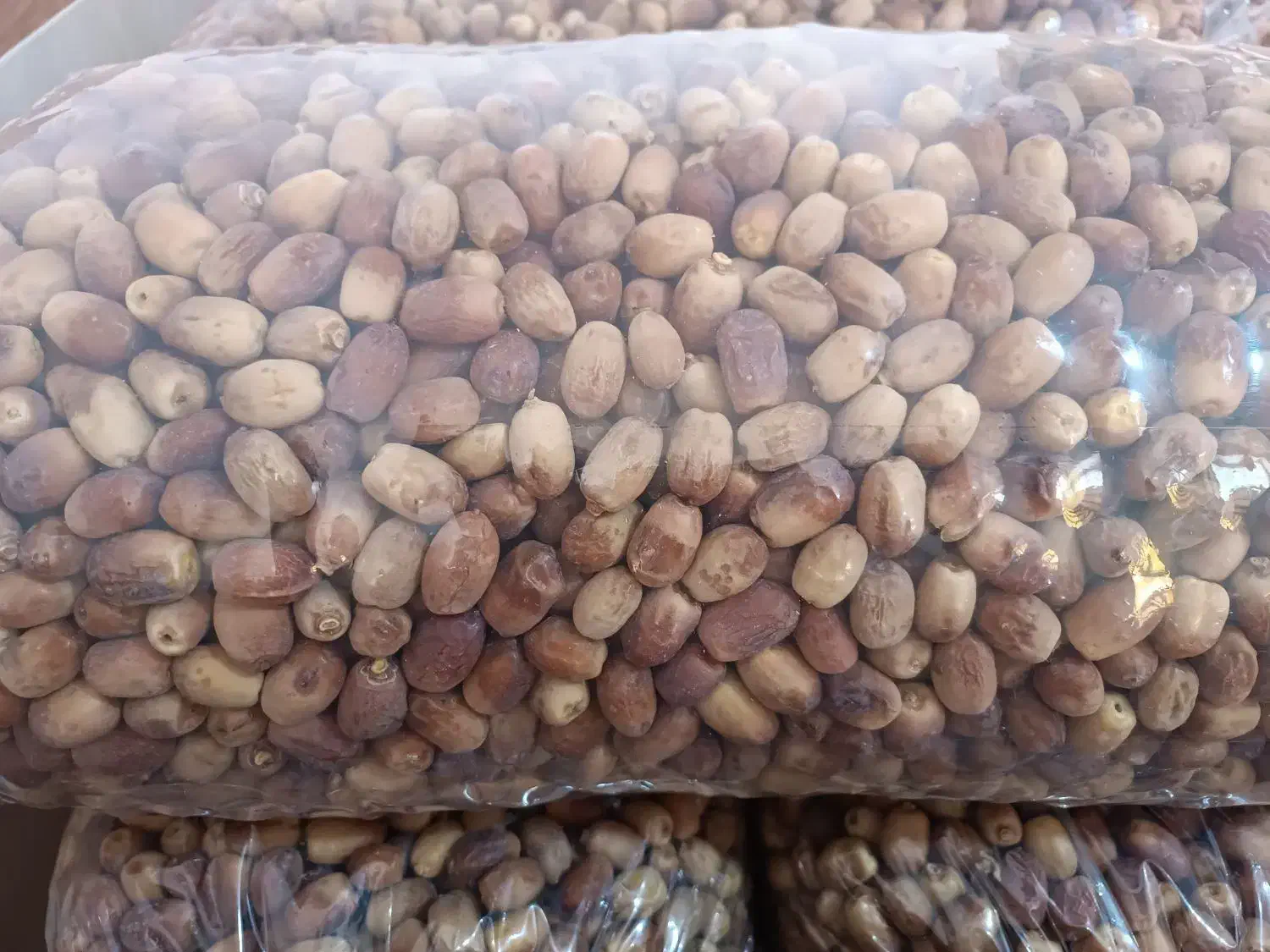 قصب پاک شده پلاستیک گرفته کیلویی82|خوردنی و آشامیدنی|فراشبند, |دیوار