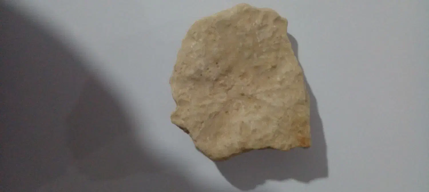 فسیل|کلکسیون اشیاء عتیقه|شوط, |دیوار