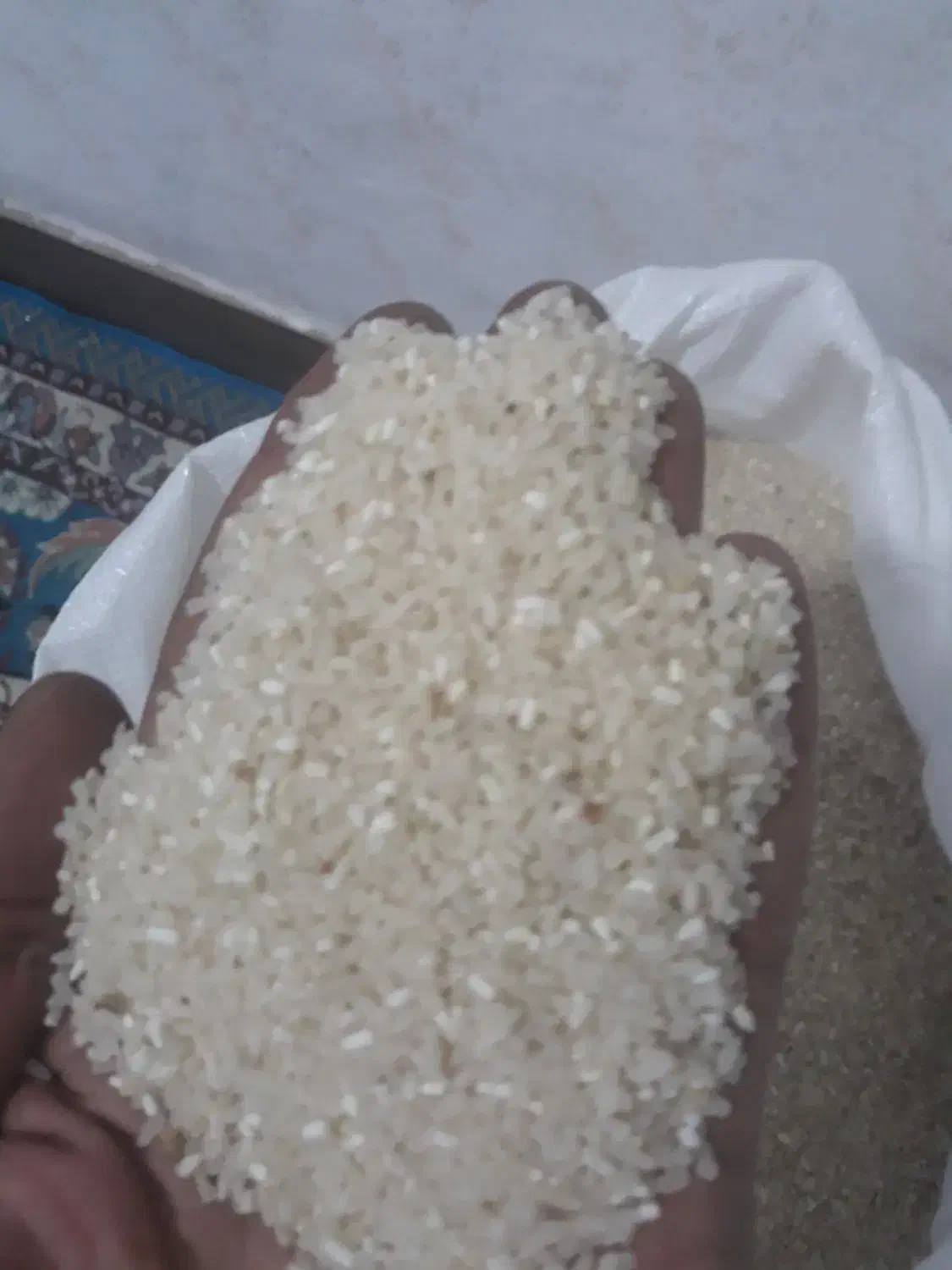 لاشه فجردسوزنی|خوردنی و آشامیدنی|تاتار علیا, |دیوار