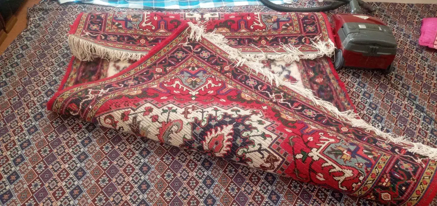 فرش نو دست|فرش|اسکو, |دیوار