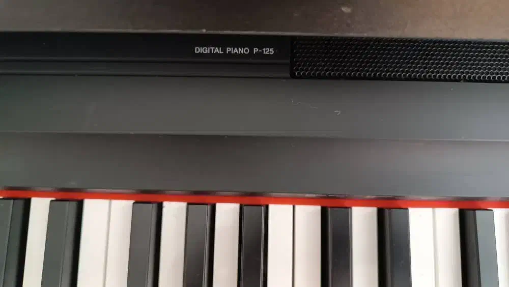 پیانو|پیانو، کیبورد، آکاردئون|اراک, |دیوار