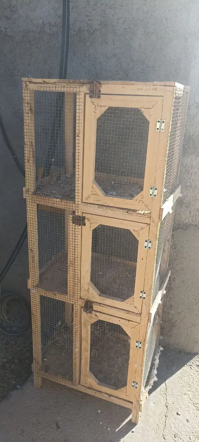 قفسه|لوازم جانبی حیوانات|بسطام, |دیوار