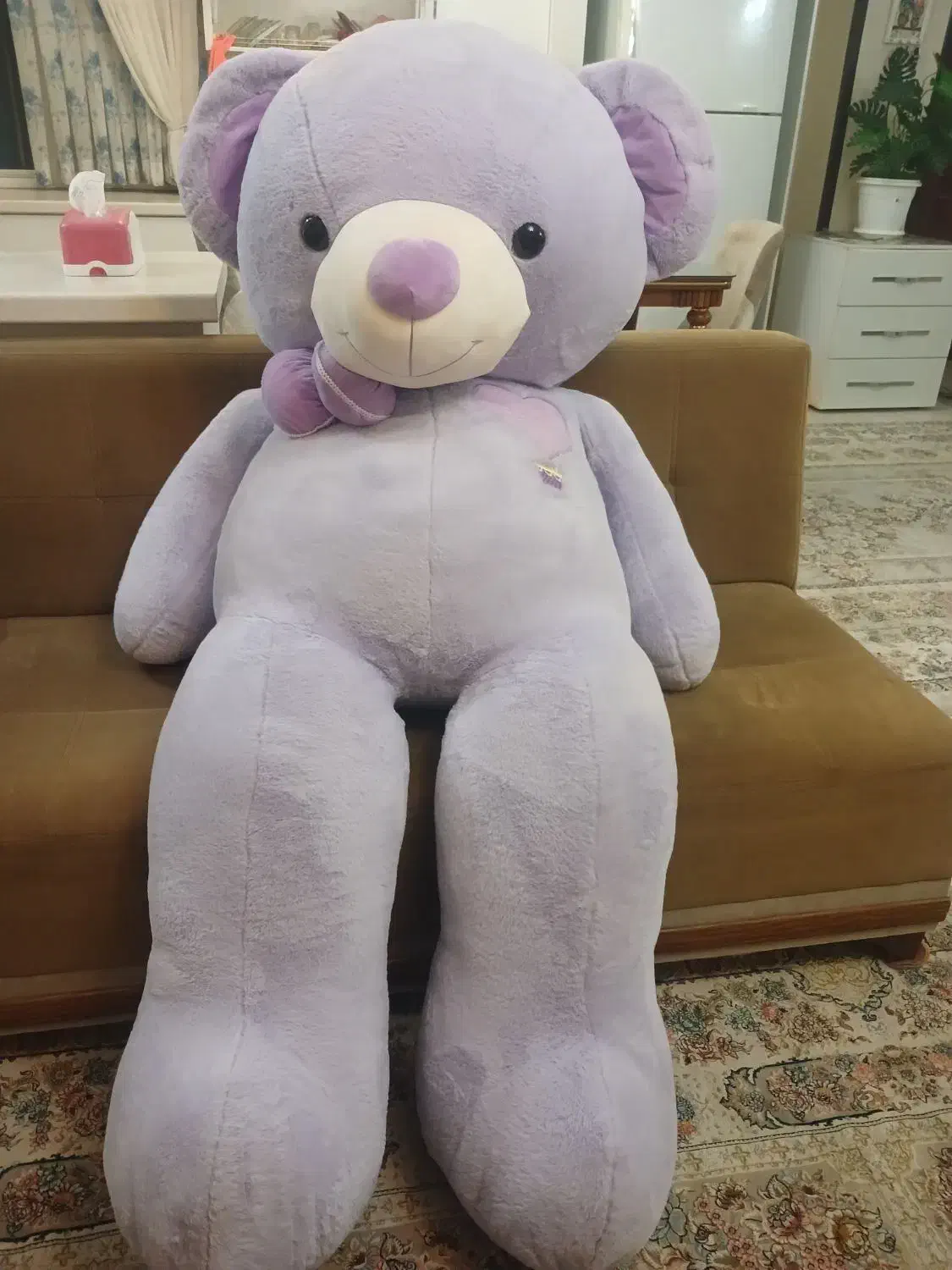 خرس شاسخین|اسباب‌بازی بچه|گرگان, |دیوار