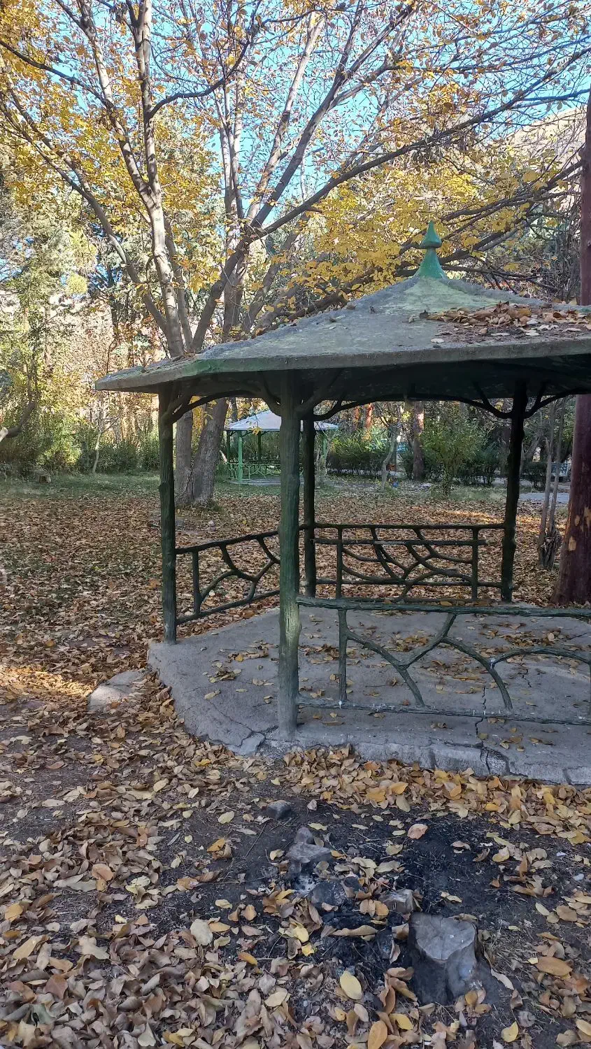 کسب درامد|کارت هدیه و تخفیف|خلخال, |دیوار