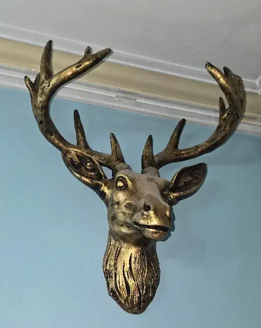 دیوار کوب گوزن|مجسمه، تندیس، ماکت|تهران, مشیریه|دیوار