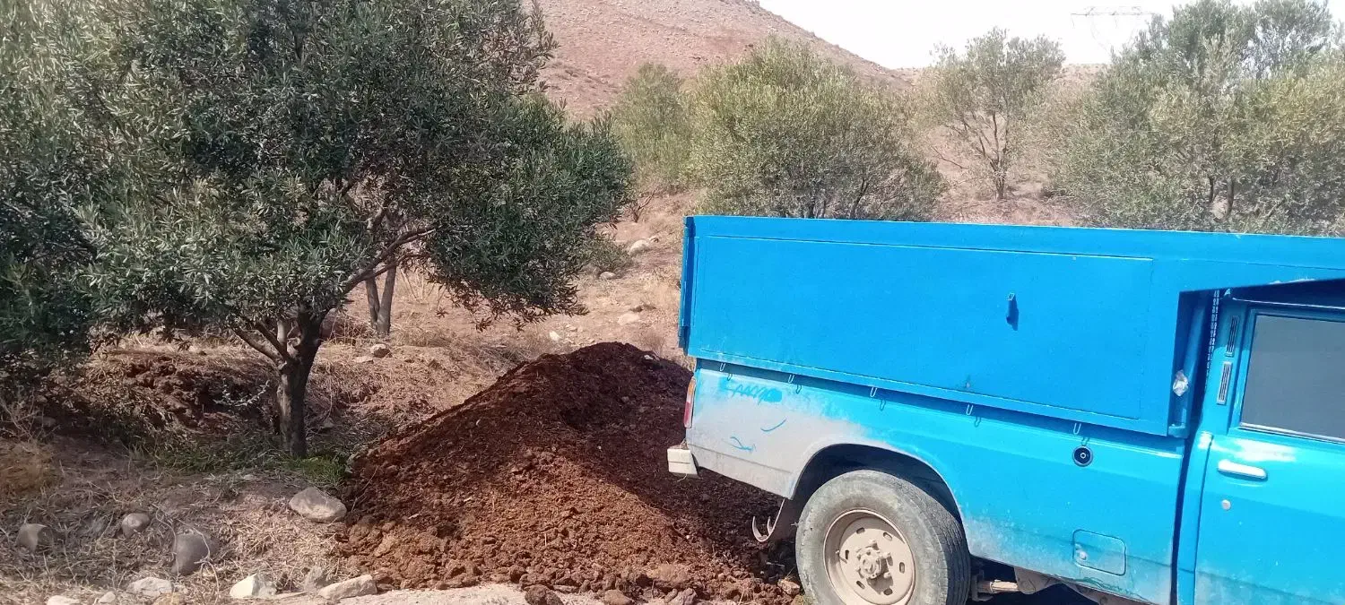 کود دامی|خدمات باغبانی و درختکاری|رشت, پارک شهر|دیوار