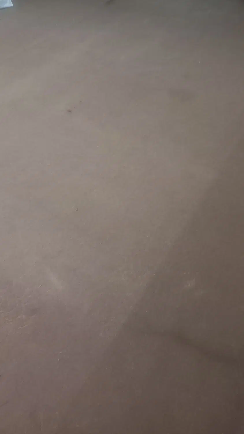 موکت شکلاتی|موکت|مشهد, نوید|دیوار