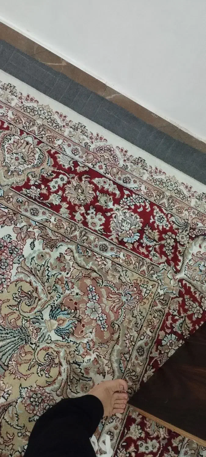فرش12متری|فرش|ایلام, |دیوار