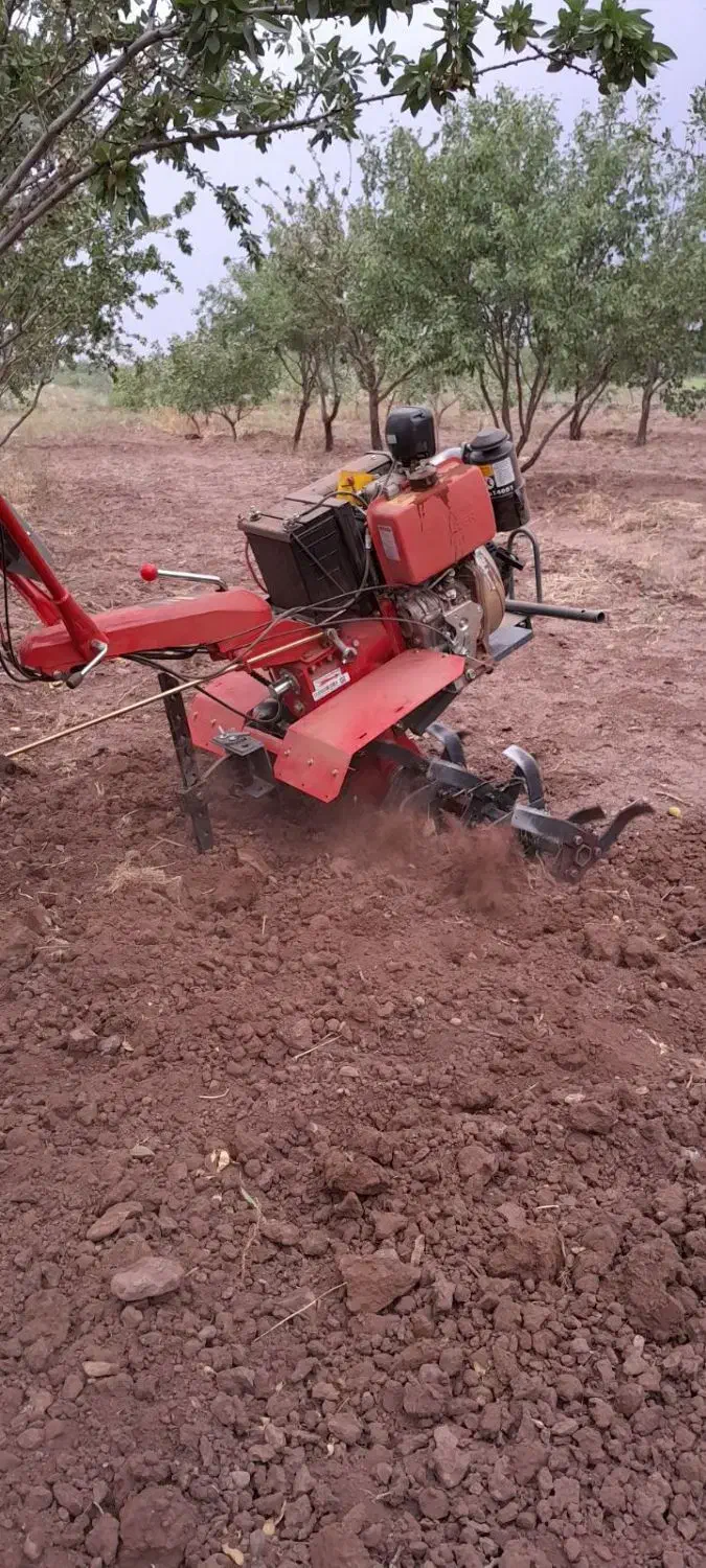 شخم و خدمات باغداری نمونه|خدمات باغبانی و درختکاری|محمدیه-قزوین, |دیوار